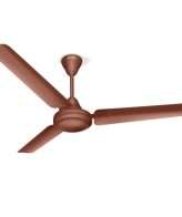 Crompton Riviera 1200mm (48 inch) Ceiling Fan (Brown)