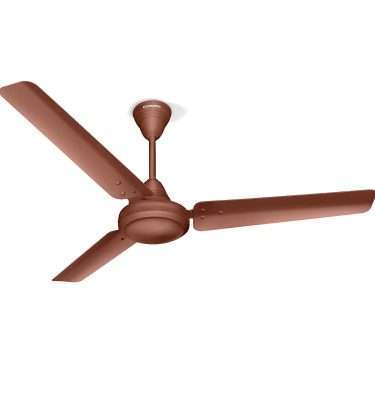 Crompton Riviera 1200mm (48 inch) Ceiling Fan (Brown)