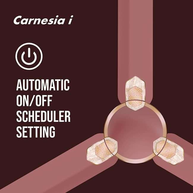 Havells Carnesia i 1200mm Ceiling Fan (Metallic Brown LT Copper)