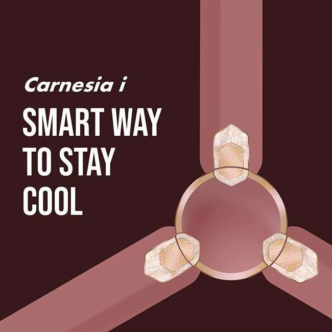 Havells Carnesia i 1200mm Ceiling Fan (Metallic Brown LT Copper)