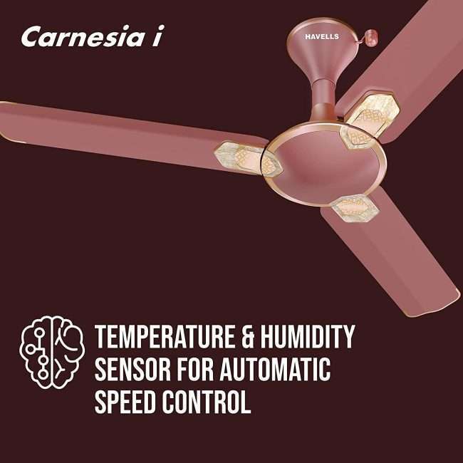 Havells Carnesia i 1200mm Ceiling Fan (Metallic Brown LT Copper)