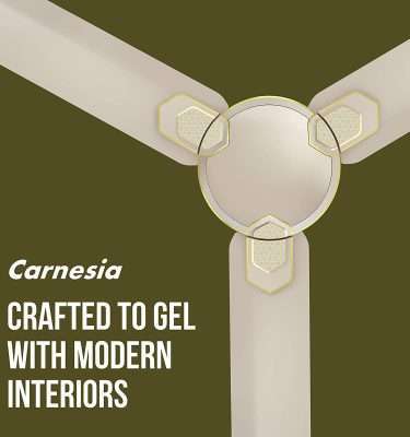 Havells Carnesia 1200mm Ceiling Fan (Gold)