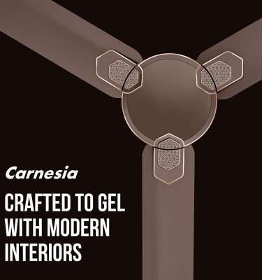 Havells Carnesia 1200mm Ceiling Fan (Dusk LT Copper)