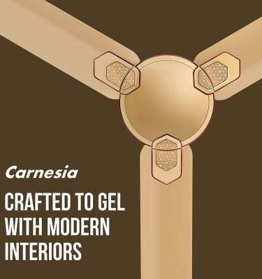 Havells Carnesia 1200mm Ceiling Fan (Beige Cola Chrome)