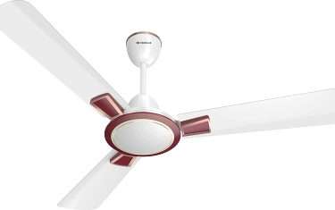 Havells Astura 1200mm Ceiling Fan (White Mehroon)