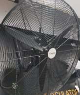 REXTON 26" RWF 26" WALL FAN (BLACK)